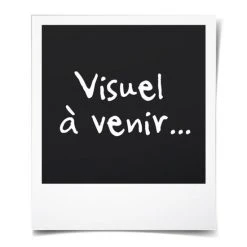 Coupon ⭐ Hot Wheels Mega-Truck ❤️ -Hot Wheels Verkäufe unnamed file 1195